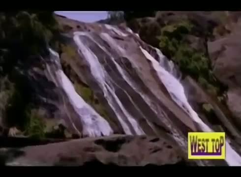 Watch Pachakiliye - Divya Bharthi, Aanand - Nila Pennea - Tamil Classic Song Video