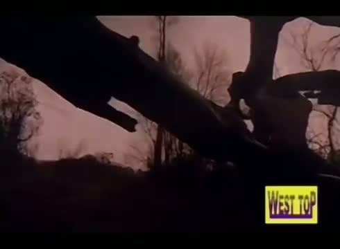 Watch Ariraro Aariraro - Divya Bharthi, Aanand - Nila Pennea - Tamil Classic Song Video