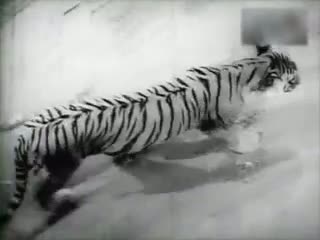 Watch Azyagum Vagayay - Deiva Cheyal - Muthuraman, Bharathi, Major Sundarrajan Video