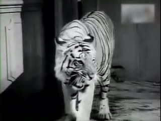 Watch En Ueraka Yaarum Kaaval - Deiva Cheyal - Muthuraman, Bharathi, Major Sundarrajan Video