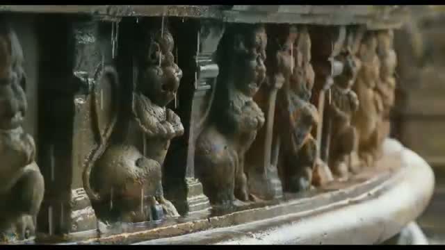 Watch Monkey Kingdom - Official Trailer Video