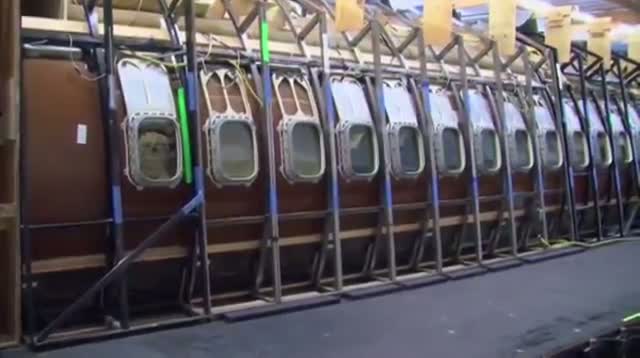 Watch Helping Dogs Get Over Fear of Flying Video