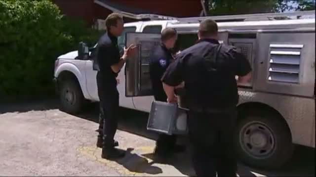 Watch Fort Worth Vet Charged With Animal Cruelty Video