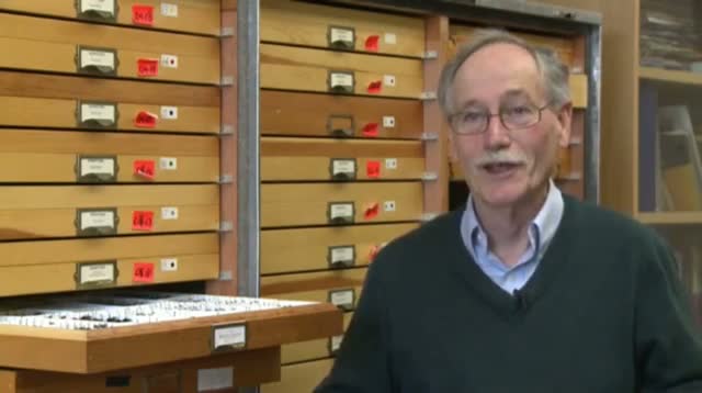 Watch "Zombees" Present New Threat to Hive Activity Video