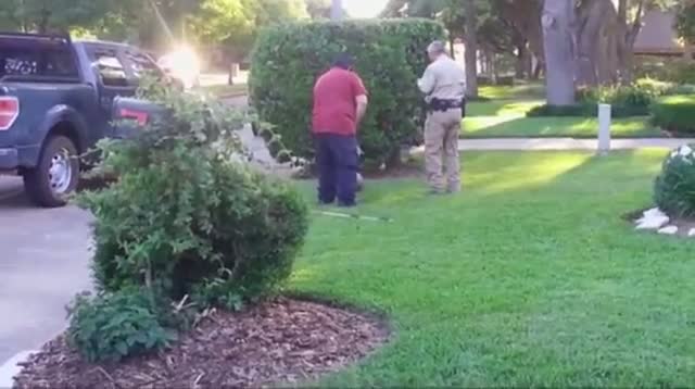 Watch Alligator in Texas Front Yard Video