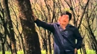 Watch Nenjil Ulla Kayam - Sivaji Ganesan, K.R Vijaya - Rishimoolam - Tamil Classic Song Video