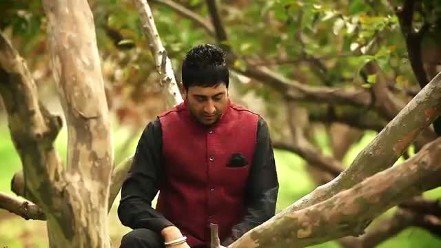 Watch Roop Bapla | Jawani | Review | Brand New Latest Punjabi Song 2014 Video
