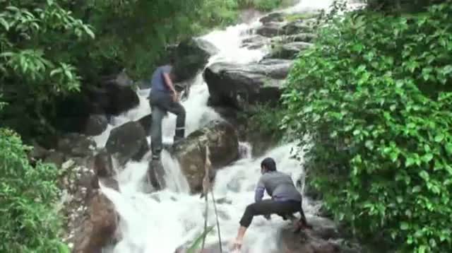 Watch Scientists in India Discover 'Dancing Frogs' Video