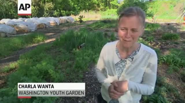 Watch Millennial Green Thumbs on the Rise Video
