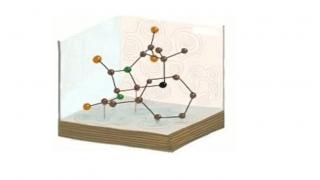 Watch Google doodles Dorothy Hodgkin's 104th birthday Video