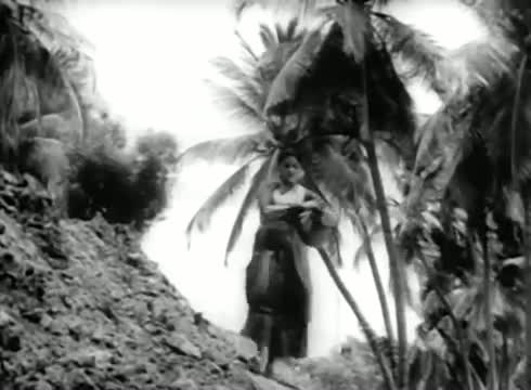 Watch Aathiley Thanni Vara -- Prem Naseer,Manohar, B.S Saroja - Vanna Killi - Tamil Classic Song Video