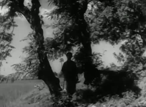 Watch Kaattu Malli poothirukka - Prem Naseer, Manohar, B.S Saroja - Vanna Killi - Tamil Classic Song Video