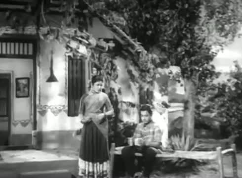 Watch Saathkudi Saar - Prem Naseer, Manohar, B.S Saroja - Vanna Killi - Tamil Classic Song Video