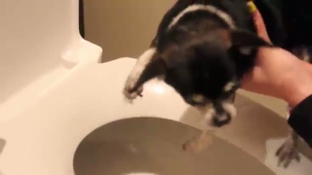 Watch Jenna Marbles: What Are This Remix Video