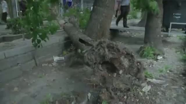 Watch Deadly Dust Storm Roars Into Iran Video