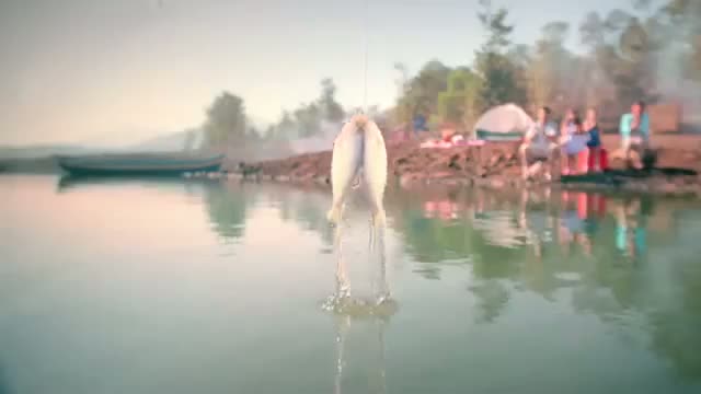 Watch LIC "Jeevan Anand" New Ad 2014 - PICNIC Video