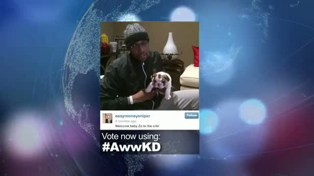 Watch 2014 NBA Social Media Awards "Aww" Award Nominee: Kevin Durant Video