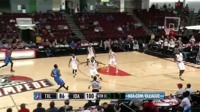 Watch NBA: P.J. Hairston D-League Highlights Video