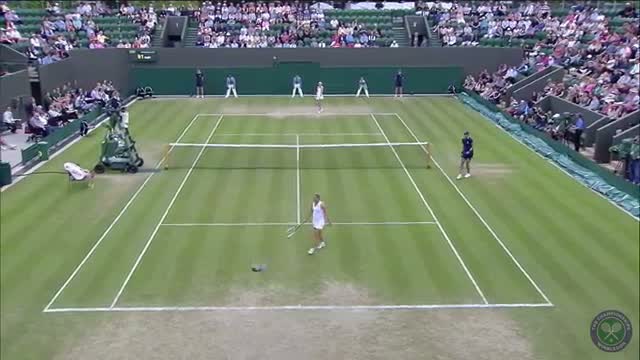 Watch Birds invade Court No. 3 - Wimbledon 2014 Video