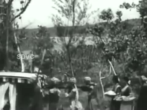 Watch Payirai Nambi Uyir - M. G. Ramachandran, Padmini, Lalitha - Raja Rajan - Tamil Classic Song Video