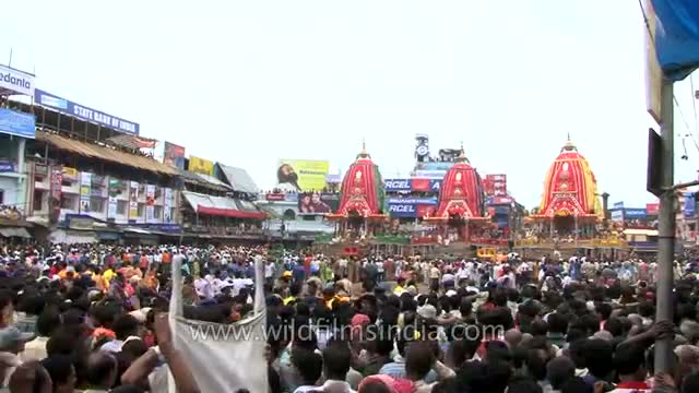 Watch Celebration of 'Jagannath Rath Yatra' in the coastal city of Puri Video