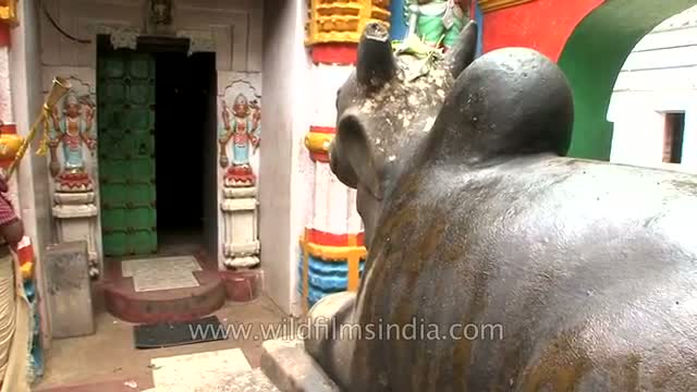 Watch Evening prayer at Jagannath Temple - Puri Video