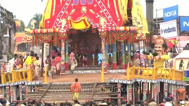 Watch Chariots decorated as temple structures during Rath Yatra - Odisha Video