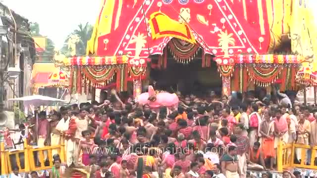 Watch Jagannath Rath Yatra festival in India Video