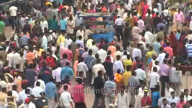 Watch Puri's annual 'Rath Yatra' begins Video