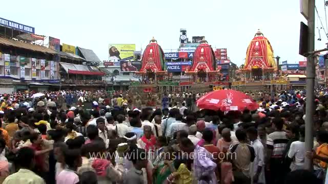 Watch Crowd gather to see 'Rath Yatra' in Puri - Odisha Video