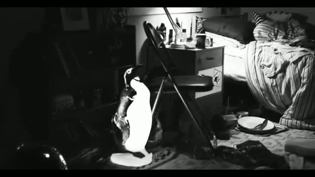 Watch 5 Seconds Of Summer - Amnesia (Lyric video) Video
