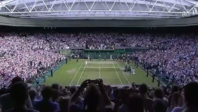Watch Novak Djokovic wins Wimbledon 2014 Video