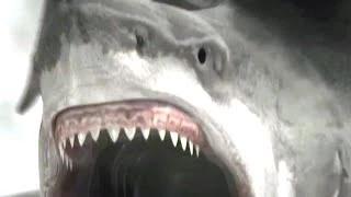 Watch Sharknado 2: The Second One Official Trailer #1 (2014) Tara Reid, Horror SyFy HD Video
