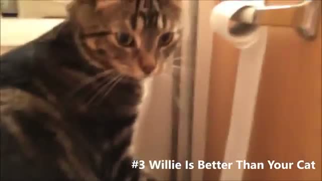 Watch Top 5 Viral videos of the week 1 of April 2014 Video