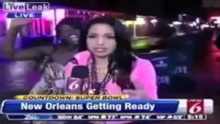 Watch Best Viral Videos - Spring Collection Video