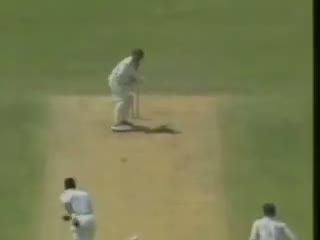 Watch Curtley Ambrose devastating spell of 7 for 1 run v Australia Video