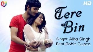 Watch Tere Bin (Full Song) - Alka Singh ft. Rohit Gupta - New Hindi Song 2014 Video