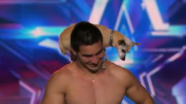 Watch Christian Stoinev: Hand Balancer Adds Cute Dog to Act - America's Got Talent 2014 Video