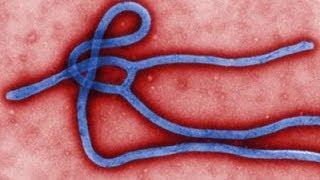 Watch US Warns Against Traveling to Ebola-hit Areas Video