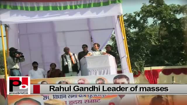 Watch Rahul Gandhi a sincere and strong Congress leader with innovative vision Video