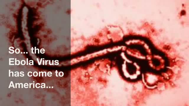 Watch So... the Ebola Virus has come to America... (But it's contained and we're fine) Video