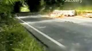 Watch Destroyed in Seconds - Motorcycle Mahem Video Video