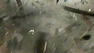 Watch Destroyed in Seconds - House Explosion Video Video