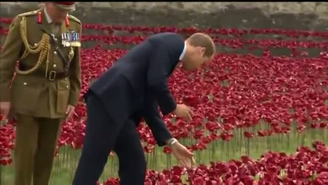 Watch Royals Visit Tower of London WWI Tribute Video