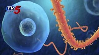 Watch Ebola Virus Disease - WHO Declared 'International Health Emergency' Video