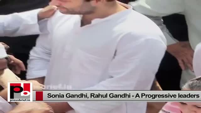 Watch Several people in Congress want Sonia Gandhi, Rahul Gandhi to be active in the party Video