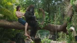 Watch Even An Ape Knows: Garnier Men India Video