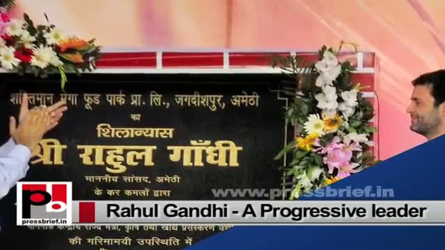 Watch Rahul Gandhi hopes there will be a Mahila Congress Tsunami soon Video