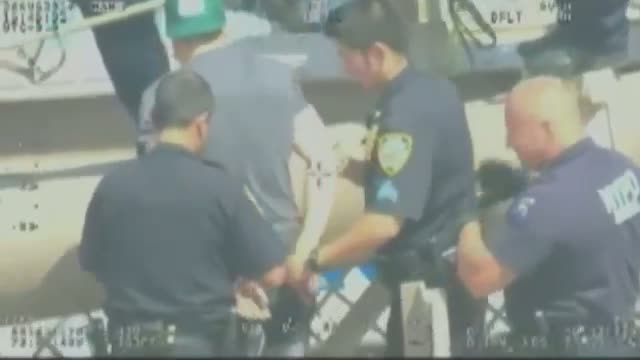 Watch Man Arrested After Climbing Brooklyn Bridge Video