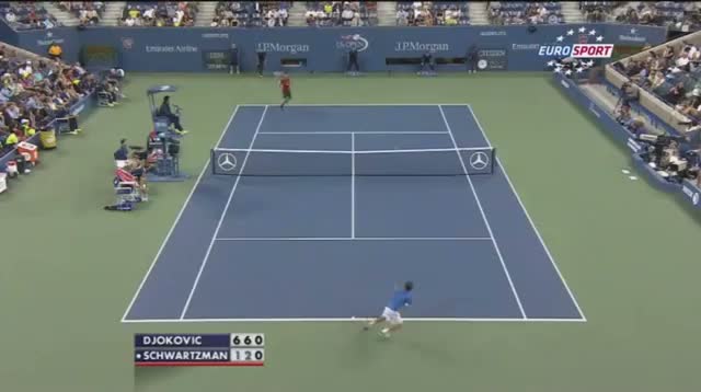 Watch Djokovic vs Schwartzman All Highlights - US Open 2014  Video